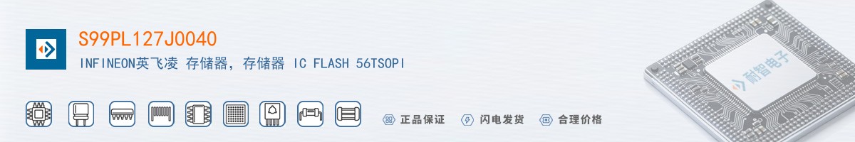 S99PL127J0040������