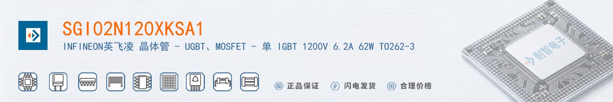 SGI02N120XKSA1������