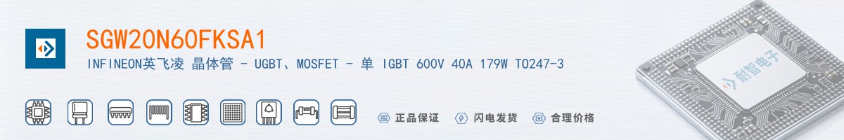 SGW20N60FKSA1������