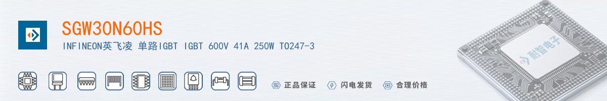SGW30N60HS������