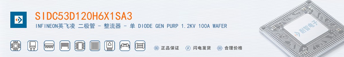 SIDC53D120H6X1SA3������