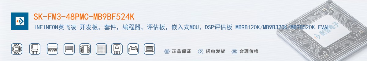 SK-FM3-48PMC-MB9BF524K������