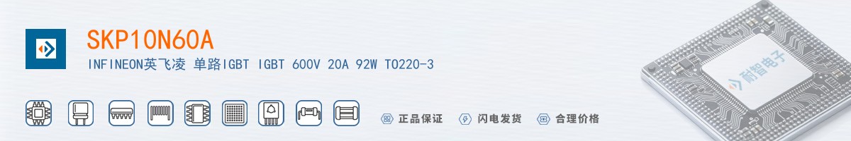 SKP10N60A������