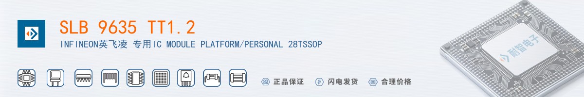 SLB 9635 TT1.2������