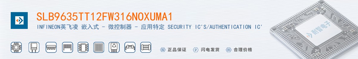 SLB9635TT12FW316NOXUMA1������