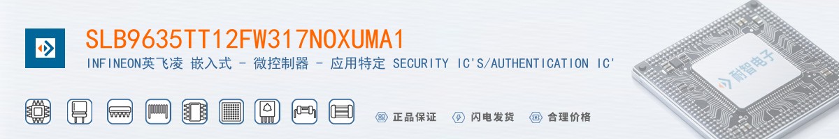 SLB9635TT12FW317NOXUMA1������