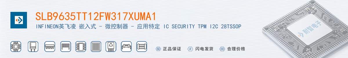 SLB9635TT12FW317XUMA1������