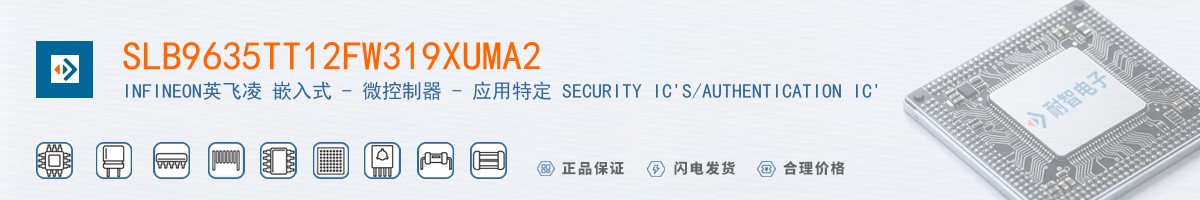 SLB9635TT12FW319XUMA2������