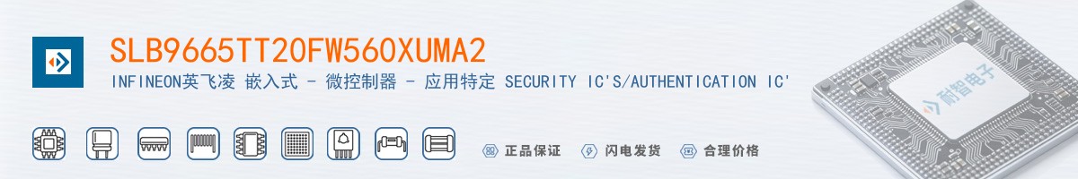 SLB9665TT20FW560XUMA2������