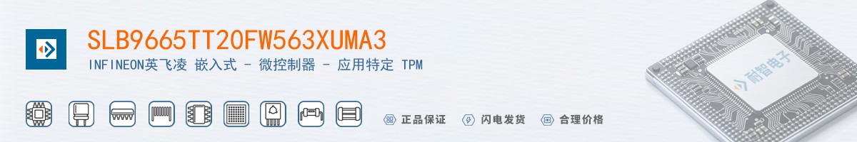 SLB9665TT20FW563XUMA3������