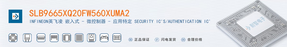 SLB9665XQ20FW560XUMA2������
