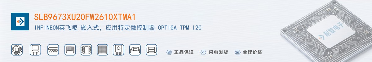 SLB9673XU20FW2610XTMA1������