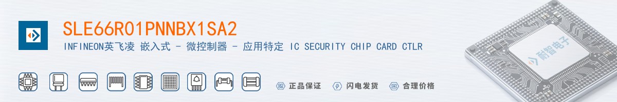 SLE66R01PNNBX1SA2������