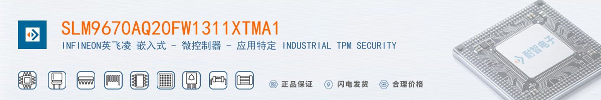 SLM9670AQ20FW1311XTMA1������