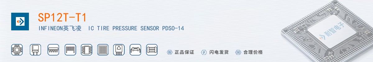 SP12T-T1������
