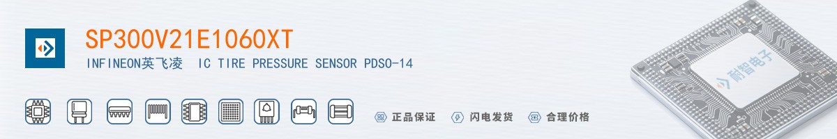 SP300V21E1060XT������