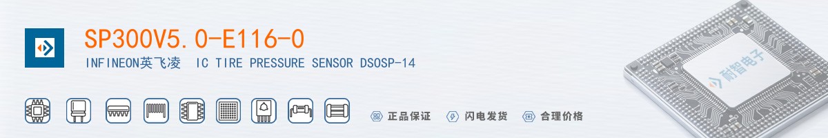 SP300V5.0-E116-0������
