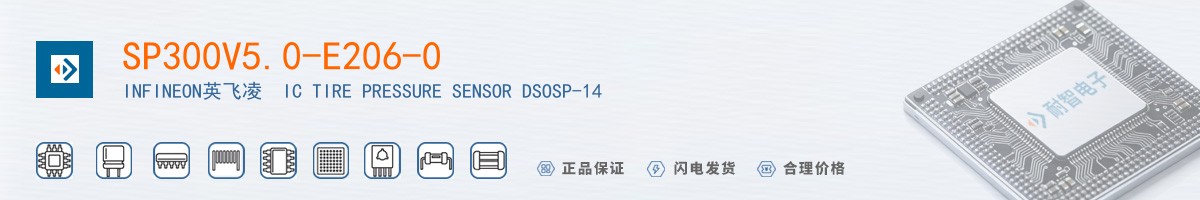 SP300V5.0-E206-0������