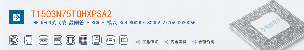 T1503N75TOHXPSA2������