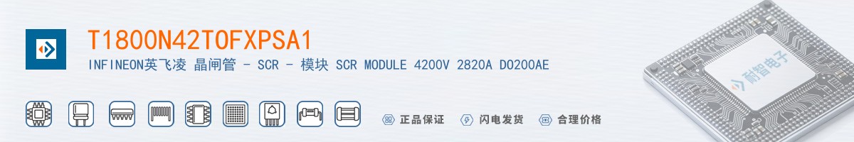 T1800N42TOFXPSA1������