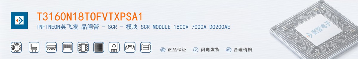 T3160N18TOFVTXPSA1������