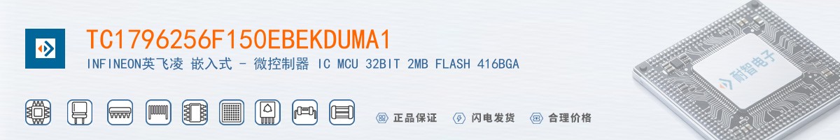 TC1796256F150EBEKDUMA1������