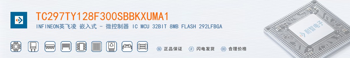 TC297TY128F300SBBKXUMA1������