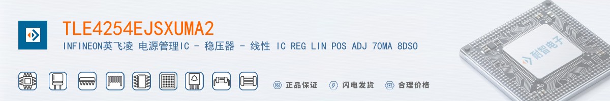 TLE4254EJSXUMA2������