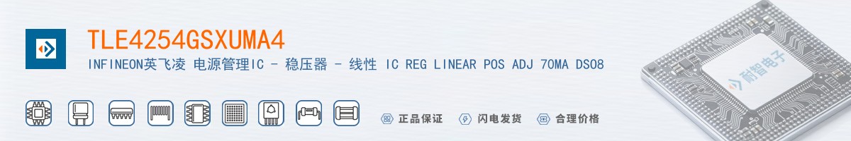 TLE4254GSXUMA4������