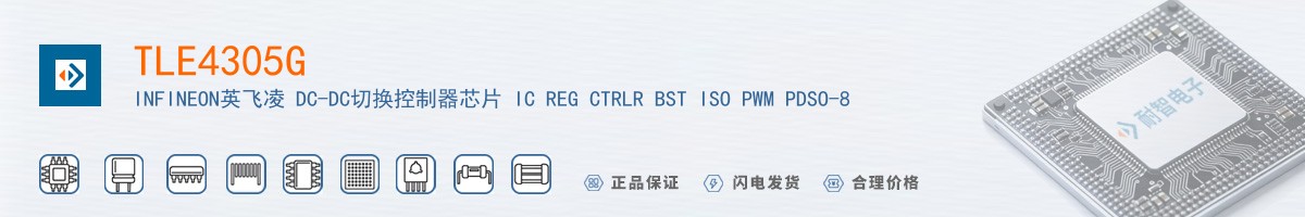 TLE4305G������