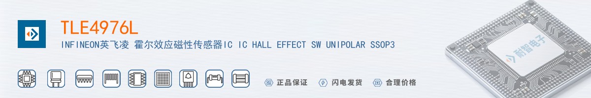 TLE4976L������