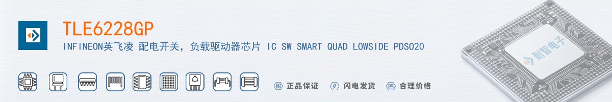 TLE6228GP������