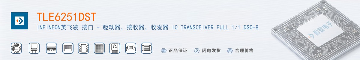 TLE6251DST������