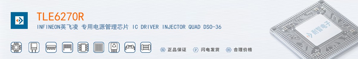 TLE6270R������