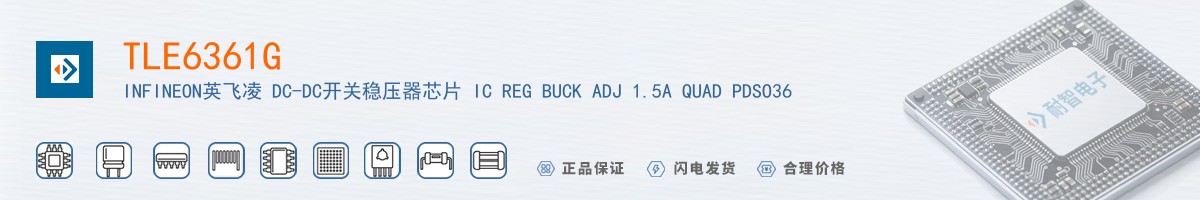 TLE6361G������