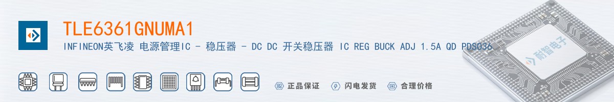 TLE6361GNUMA1������