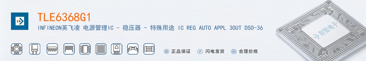 TLE6368G1������