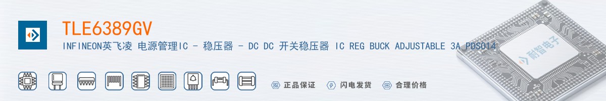 TLE6389GV������