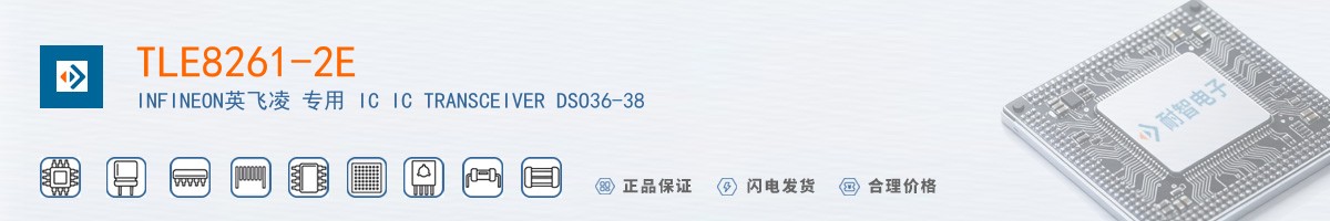 TLE8261-2E������