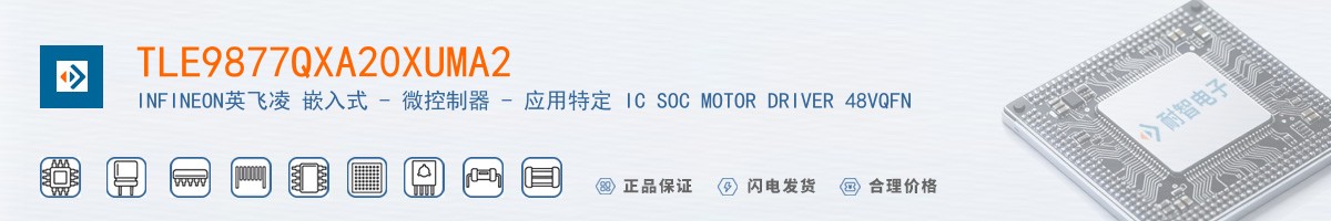 TLE9877QXA20XUMA2������