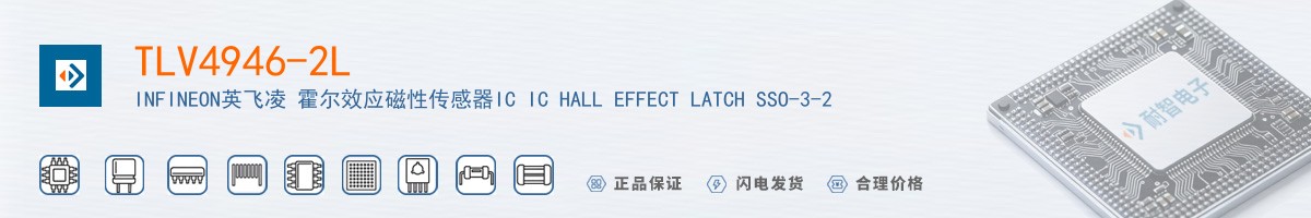 TLV4946-2L������