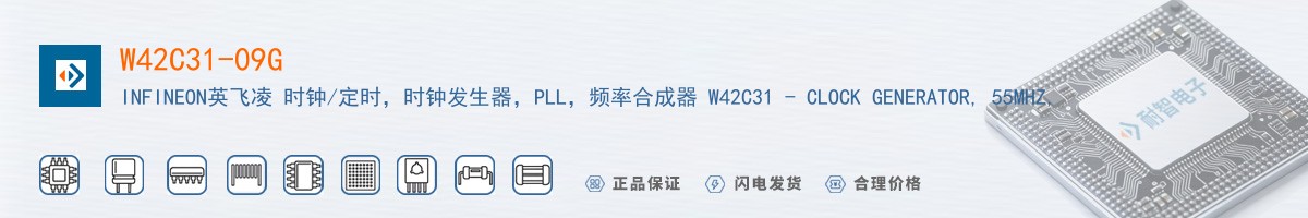 W42C31-09G������