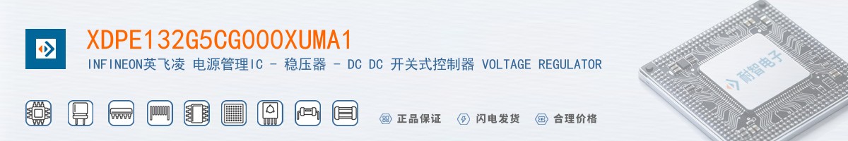 XDPE132G5CG000XUMA1������