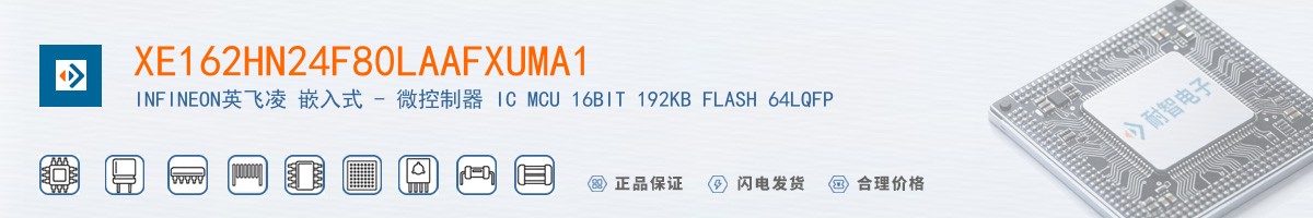 XE162HN24F80LAAFXUMA1������