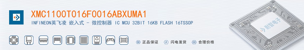 XMC1100T016F0016ABXUMA1������