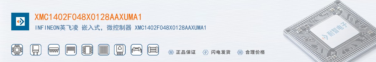XMC1402F048X0128AAXUMA1������