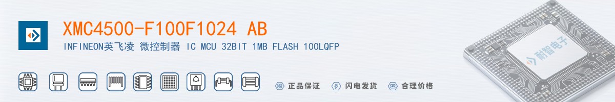 XMC4500-F100F1024 AB������