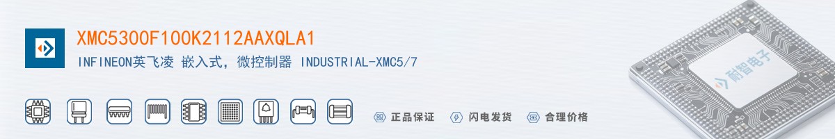 XMC5300F100K2112AAXQLA1������
