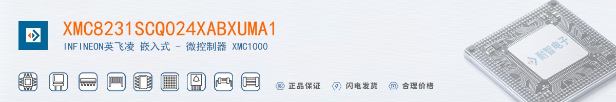 XMC8231SCQ024XABXUMA1������
