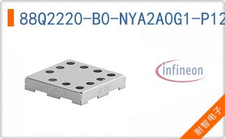 88Q2220-B0-NYA2A0G1-P123